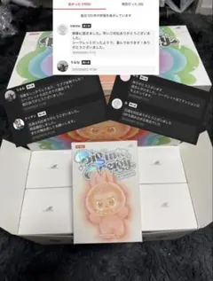 【正規品・未開封】Labubu Big into Energy 1箱
