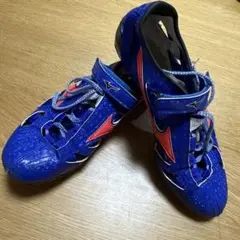 Item thumbnail for item 1b5b43bb-4893-47e1-b8a5-10e565b31b6f