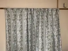 カーテングリーン　葉っぱ