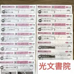 小学3年　理科　大日本図書　光文書院　カラーテスト　みなおしシート　小3 小学3年 理科 大日本図書 光文書院 カラーテスト みなおしシート