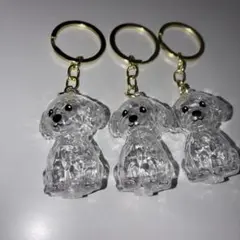Item thumbnail for item b03dfd56-bfe9-4d12-a940-8855b485b7b2