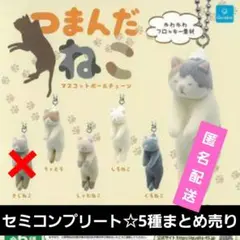 つまんだねこマスコットボールチェーン　セミコンプ　5種類まとめ売り