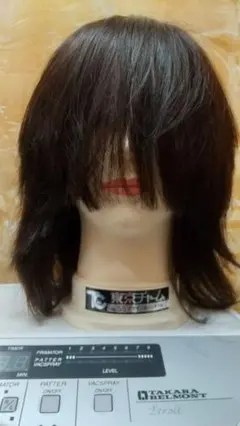 Item thumbnail for item 2b9167a6-cb97-4239-9274-8f80d6561287