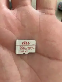 au 256GB microSDカード A2