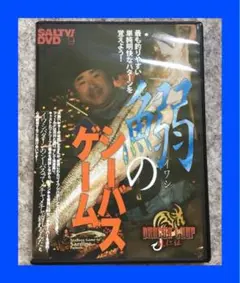 #DVD 嶋田仁正 鰯のシーバスゲーム #本 #その他/その他 #嶋田仁正