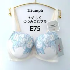 Item thumbnail for item a56e6272-c234-4f47-855d-e2719d1722e8