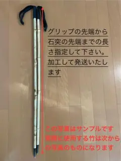 LIFE LINk カーボン　ストック　ゾンデ LIFE LINk カーボン ストック ゾンデ LIFE LINk カーボン