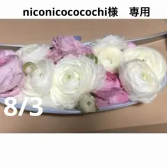 niconicococochi様　専用