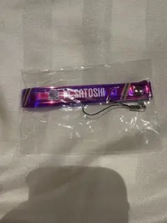 田中聡　サンフレッチェ