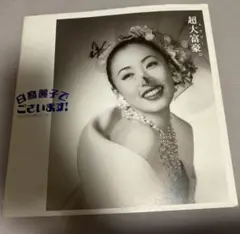 松雪泰子　白鳥麗子でございます　B2ポスター　新品額装付き 松雪泰子 白鳥麗子でございます B2ポスター 新品額装付き （ゴン
