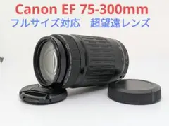 Item thumbnail for item b93f57d3-31fb-443f-9386-2dfc216668c5