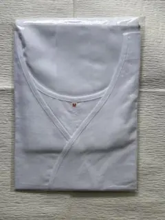 Item thumbnail for item 4c0ca1f3-0d41-40ff-8e3d-aab1a47415be