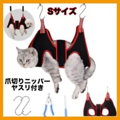 Item thumbnail for item 3809ac0a-2ec8-49c5-b314-bcd842cc2fe1