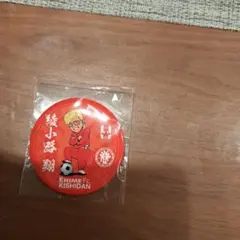 Item thumbnail for item 97d61c31-e0a2-4116-b149-a8ec04f589f3