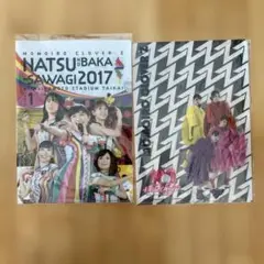 【匿名】ももいろクローバーZ ダイカットクリアファイル他　2点セット