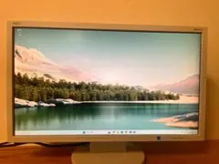 NEC液晶モニターディスプレイLCD-AS223WM 21.5型HDMI