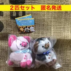 ぺろんと陽気な肉食獣のぬいぐるみ ２匹セット　匿名発送　ガチャ　新品