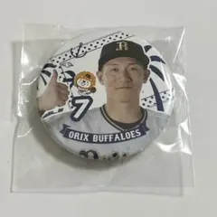 オリックス バファローズ ぼんち揚げ　缶バッジ 西川龍馬