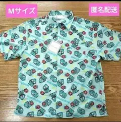 Item thumbnail for item c508bb88-24d7-4852-93b0-0413ab759ace