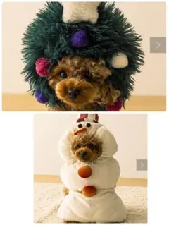 Item thumbnail for item 0ac08df3-e632-4595-98ea-244e95cfee99