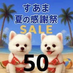 ✨夏の感謝祭セール✨パネル【Ｎｏ．50】