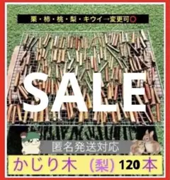 Item thumbnail for item bf3bde18-78ea-4709-b51a-db8470da1cc9