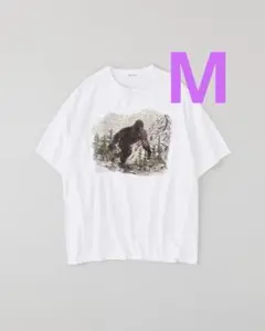 NICENESS 25AW U.BERNARD BIGFOOT M