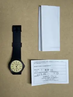 CASIO MQ-24-9B (日本未発売) チープカシオ