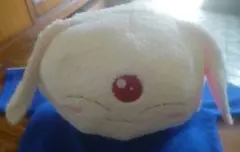 魔法騎士レイアースモコナフェイスBIGぬいぐるみ