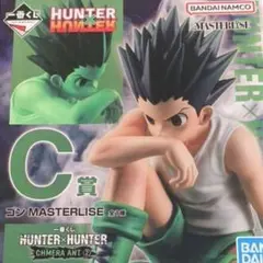 ② HUNTER x HUNTER ゴン C賞 MASTERLISE
