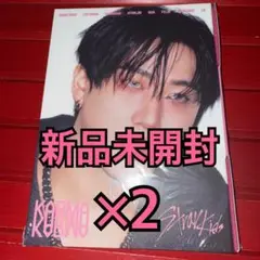 straykids アルバム KARMA 新品未開封 チャンビン ×2 ①