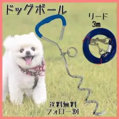 ドッグ ポール u0026 ロング リード ブルー セット ワイヤー 犬 係留ステッキ