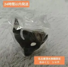 （匿名発送）名古屋港水族館限定　シャチ　おみくじ
