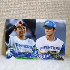北海道日本ハムファイターズ　L判サイズフォト　石井一成　山縣秀