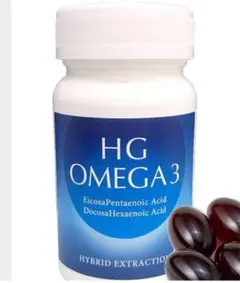 一個買うと一個ついてくる❗️【未開封】HG OMEGA 3