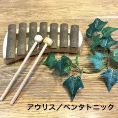 2025年最新】シュタイナー 楽器の人気アイテム - メルカリ