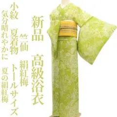 #竺仙 #絹紅梅 #夏物 #単衣 #反端付 #新品 #仕立て上がり #逸品 竺仙 1点もの 未仕立て 絹紅梅 反物 夏きもの 浴衣 夏着物 単衣