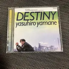 CD DESTINY~夢を追いかけて Yasuhiro Yamane 山根康弘