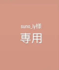 専用ページ