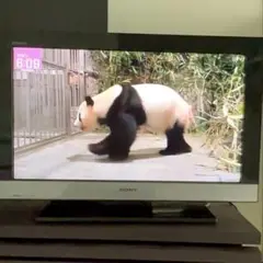 SONY 液晶テレビ KDL-26EX300 26インチ 2010年製