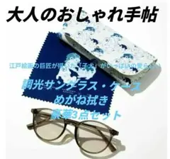 調光サングラス・めがね拭き・ケース　3点セット　おしゃれ手帖　付録