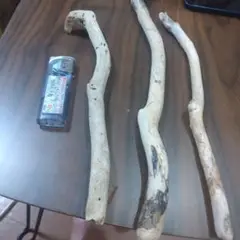 流木3点セット