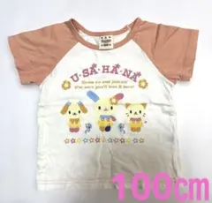 子供服　夏服　女の子　100㎝　Tシャツ　サンリオ　ウサハナ