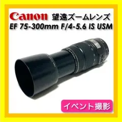 Item thumbnail for item 8851074b-6e0a-45e8-9bb7-8d187cdab110