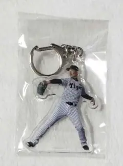 阪神タイガース☆岩崎優☆アクリルキーホルダー☆アクキー☆ラッフル☆くじ☆E賞