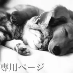 Item thumbnail for item d13bfb22-eab6-4b1e-b51f-a2c088f824c9