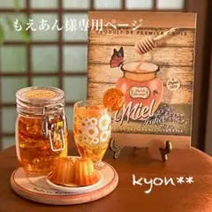専用ページ　ミニチュアスイーツ　ハニーセット