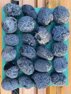 Item thumbnail for item e73a6700-7db7-4bad-a0ac-2e4e589e4907