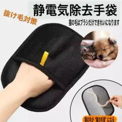 Item thumbnail for item 3e209738-999a-45f7-babb-5452ec9d0bd5