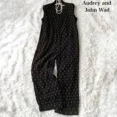 Audrey and John Wad 楊柳ドビードットオールインワン M 近年